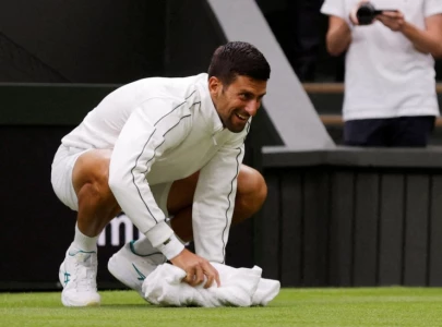 nothing strange dite on damp grass