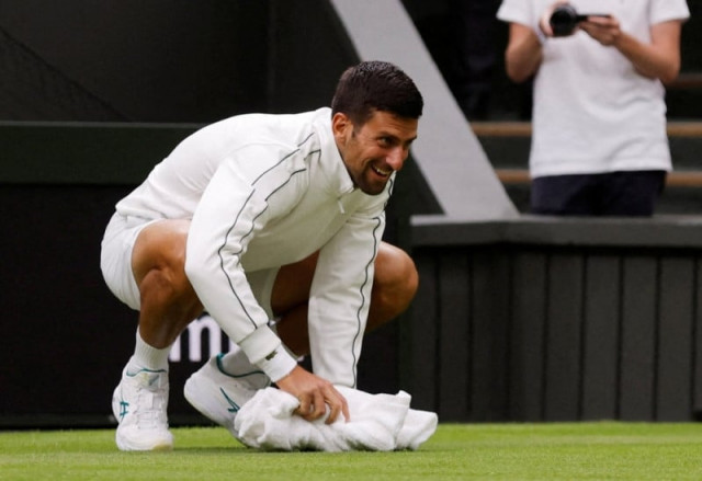nothing strange dite on damp grass nothing strange dite on damp grass