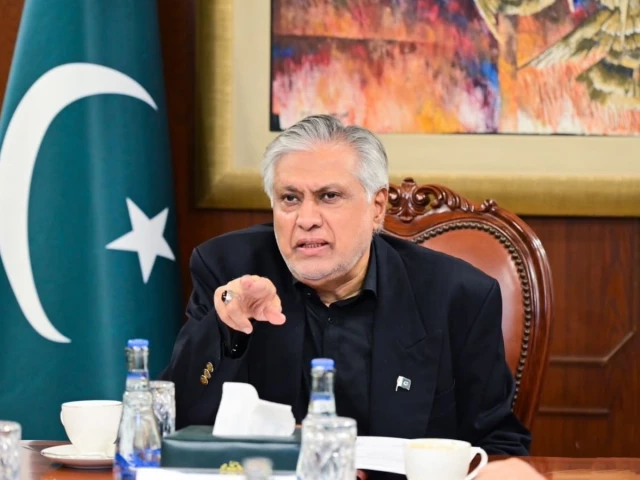Dar calls for coordination to ensure smooth implementation of PM's fuel relief scheme