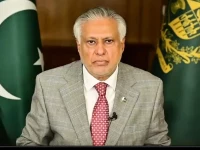 deputy prime minister and foreign minister ishaq dar screengrab