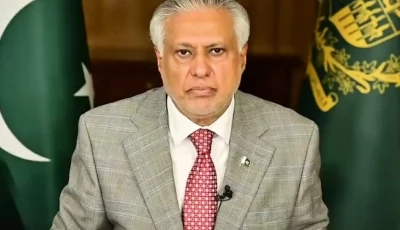 deputy prime minister and foreign minister ishaq dar screengrab