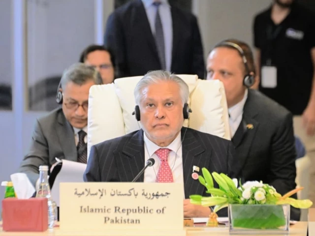 deputy prime minister and foreign minister ishaq dar at the ministerial meeting on jerusalem in jordan amman on august 5 2026 photo mofa x deputy prime minister and foreign minister ishaq dar at the ministerial meeting on jerusalem in jordan amman on august 5 2026 photo mofa x