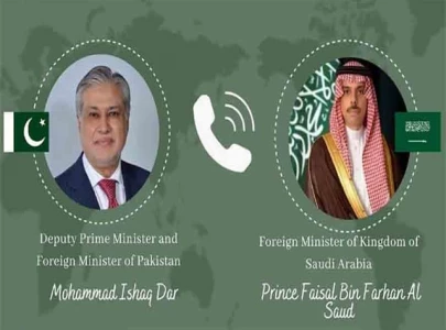 dpm saudi fm discuss red sea security