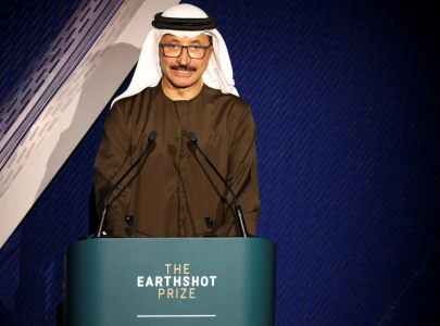 dubai s dp world boss removed from post after pressure over epstein links