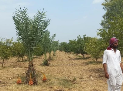 tiny little water drops help farmers avoid wastage tiny little water drops help farmers avoid wastage