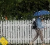 a pedestrian under an umbrella passes a rain covered car window photo reuters file a pedestrian under an umbrella passes a rain covered car window photo reuters file