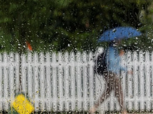 a pedestrian under an umbrella passes a rain covered car window photo reuters file a pedestrian under an umbrella passes a rain covered car window photo reuters file