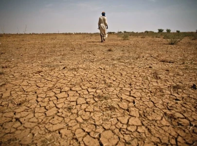 south punjab among areas facing drought south punjab among areas facing drought