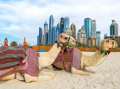 dubai a hub of exciting escapades dubai a hub of exciting escapades