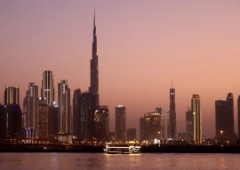 the allure of the oasis