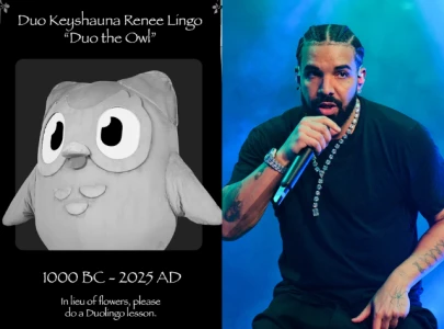 duolingo owl declared dead as fans speculate drake s involvement