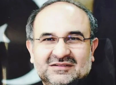 london plan is ruling elite s survival strategy says muhammad ali durrani