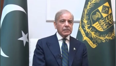 pm shehbaz rejects summary for fuel price increase says govt to absorb rs56b burden pm shehbaz rejects summary for fuel price increase says govt to absorb rs56b burden