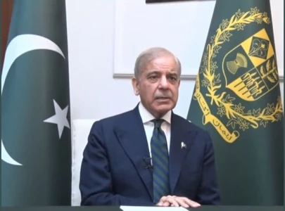 pm shehbaz rejects summary for fuel price increase says govt to absorb rs56b burden pm shehbaz rejects summary for fuel price increase says govt to absorb rs56b burden