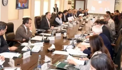 finance minister muhammad aurangzeb chairs the economic coordination committee meeting of the cabinet on friday june 27 2025 photo app