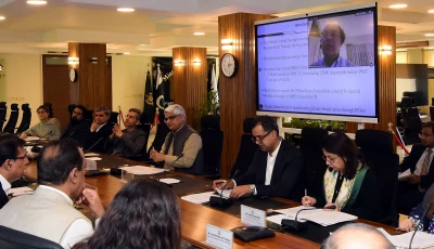 the economic coordination committee ecc chaired remotely by finance minister aurangzeb photo x