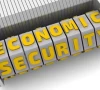 the wrong way to define economic security the wrong way to define economic security