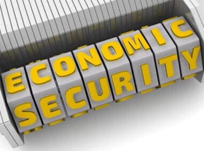 the wrong way to define economic security the wrong way to define economic security