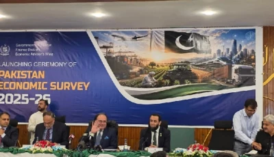 finance minister aurangzeb presenting the pakistan economic survey 2025 26 during a news conference in islamabad on june 11 2026 photo pakistan tv digital