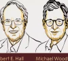 nobel prize in economics goes to us pair