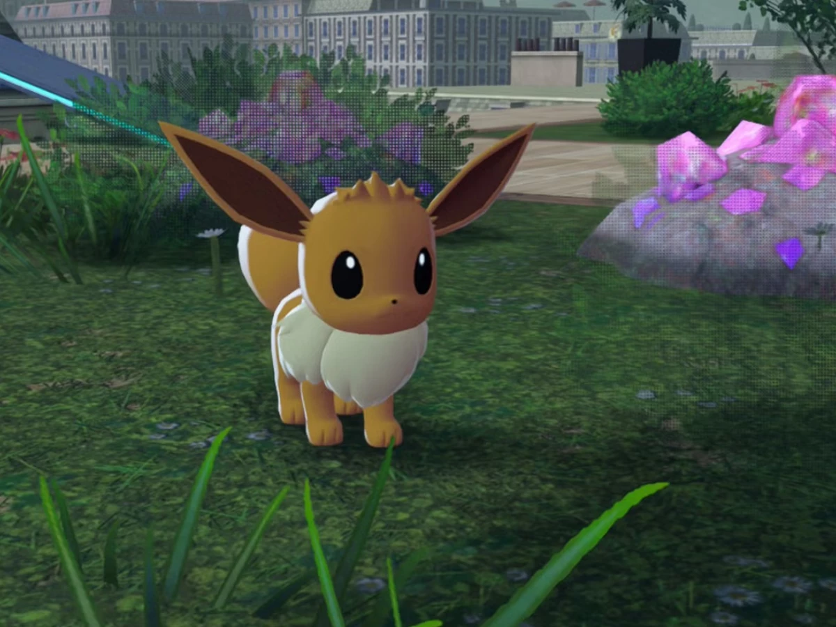 photo nintendo