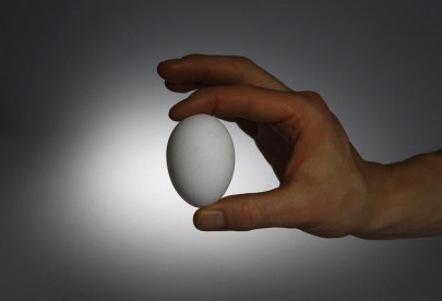 bfa seals shops for selling artificial eggs bfa seals shops for selling artificial eggs