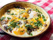 exports of eggs liquid eggs rise to 18 25m in fy25 exports of eggs liquid eggs rise to 18 25m in fy25