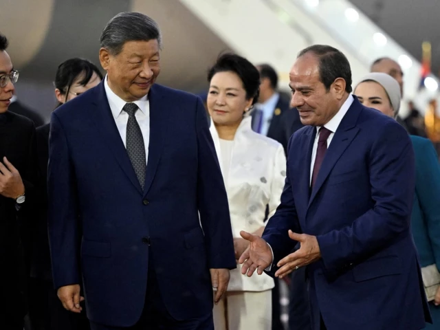 China's Xi to hold talks with Sisi in rare visit to Egypt