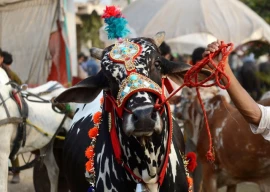 second day of eidul azha being celebrated across pakistan