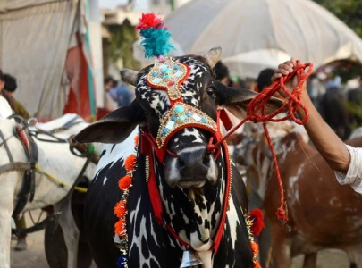 second day of eidul azha being celebrated across pakistan second day of eidul azha being celebrated across pakistan
