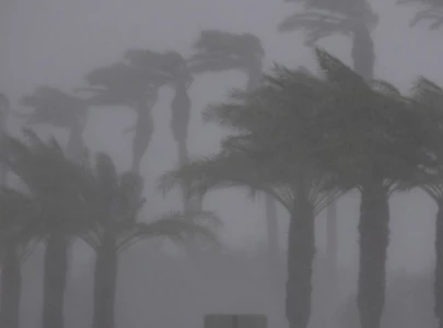 historic el nino now a 75 possibility historic el nino now a 75 possibility
