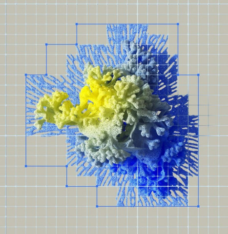 chinese experts 3d printed elastomer plastic with high physical qualities never seen before photo pexel chinese experts 3d printed elastomer plastic with high physical qualities never seen before photo pexel
