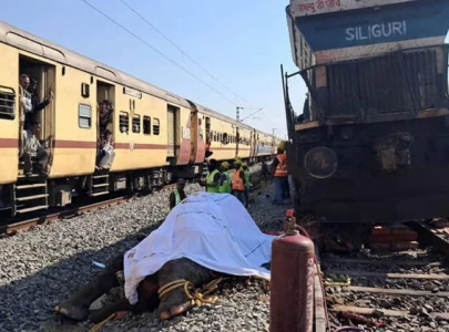 seven elephants killed in india train accident