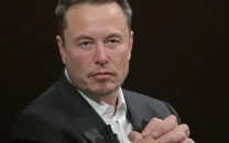 elon musk changes x account name to harry bolz what it means elon musk changes x account name to harry bolz what it means