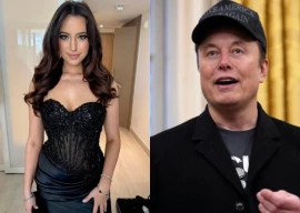 ashley st clair sues elon musk for paternity seeks sole custody of their alleged child ashley st clair sues elon musk for paternity seeks sole custody of their alleged child