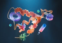 the image shows structure of enzymes photo pexels
