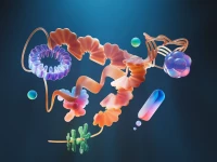 the image shows structure of enzymes photo pexels