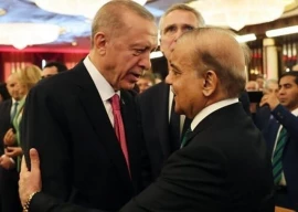 erdogan offers flood aid in call with pm shehbaz erdogan offers flood aid in call with pm shehbaz