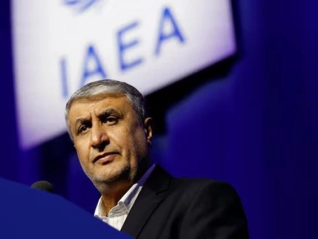 mohammad eslami head of the atomic energy organization of iran aeoi speaks at the opening of the international atomic energy agency iaea general conference at the agency s headquarters in vienna austria photo reuters mohammad eslami head of the atomic energy organization of iran aeoi speaks at the opening of the international atomic energy agency iaea general conference at the agency s headquarters in vienna austria photo reuters