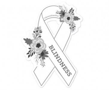 how to be blind and independent how to be blind and independent