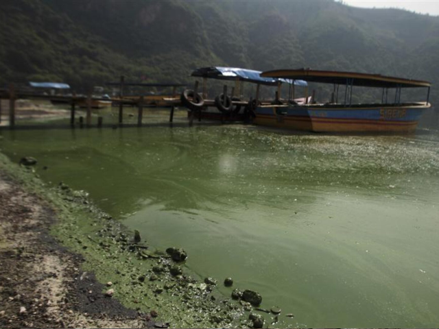 Boats are docked at the polluted Amatitlan Lake, 30 km (18 miles) south of Guatemala City June 5, 2012. REUTERS/William Gularte