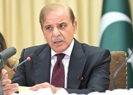 pm shehbaz urges global action on climate finance at unga pm shehbaz urges global action on climate finance at unga