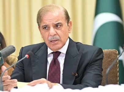 pm shehbaz urges global action on climate finance at unga