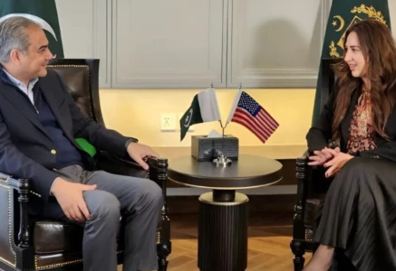 federal minister for interior mohsin naqvi met with us charg d affaires natalie baker