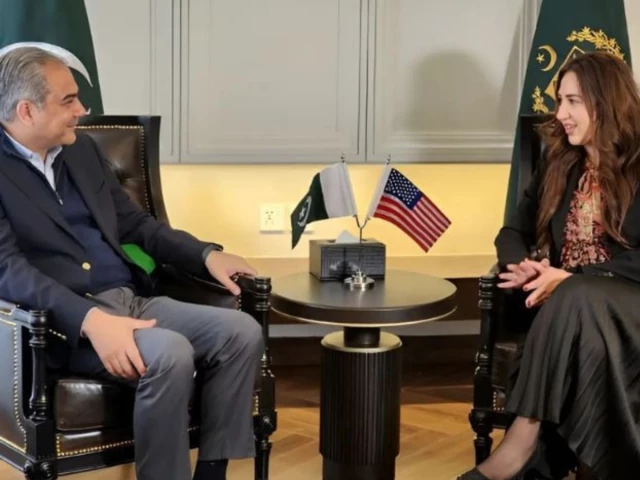 federal minister for interior mohsin naqvi met with us charg d affaires natalie baker