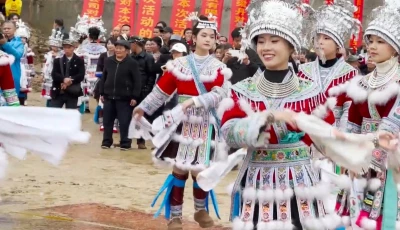 event held to celebrate hundred bird dress festival in s china s guangxi reuters