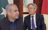 naqvi chinese envoy discuss security plan investor conference naqvi chinese envoy discuss security plan investor conference