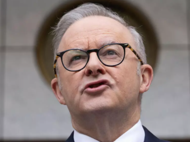 The dictionary cited Australian Prime Minister Anthony Albanese's use of the phrase 'delulu with no solulu'  AFP/File