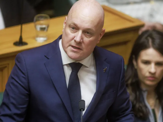 New Zealand’s Prime Minister Christopher Luxon speaks in parliament in Wellington, New Zealand, on November 12, 2024 [File: via AP]