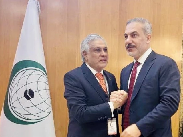 deputy prime minister and foreign minister ishaq dar with turkish foreign minister hakan fidan photo x foreignofficepk